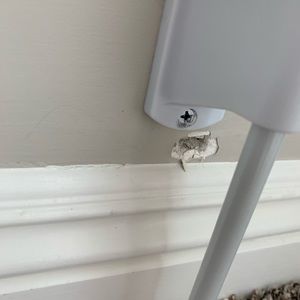 Meet your Posher, Ann